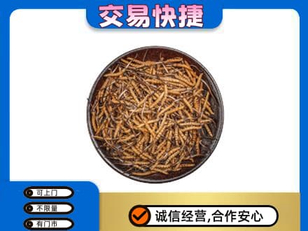 郴州市永兴高价回收散虫草